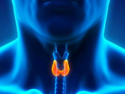 Если увеличена щитовидка — признаки и эффективные методы лечения